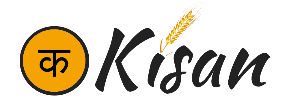 Kisan kisan